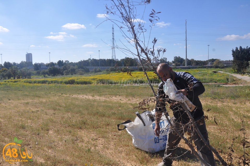 tasohamlalanjna (31).jpg